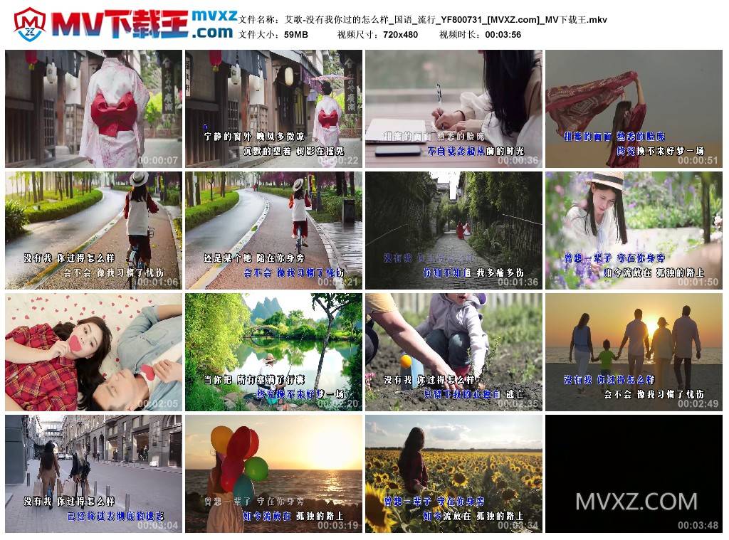 艾歌-没有我你过的怎么样_国语_流行_YF800731